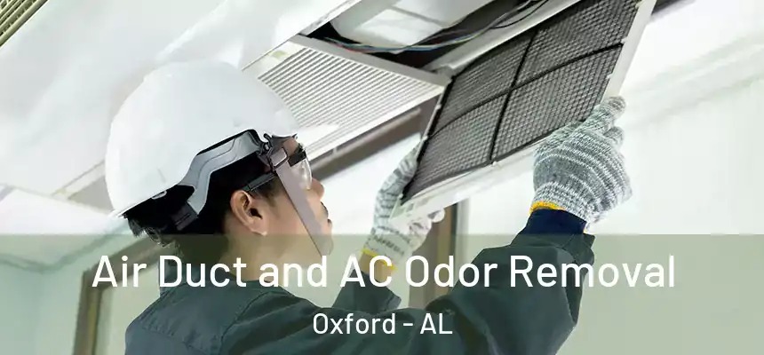  Air Duct and AC Odor Removal Oxford - AL