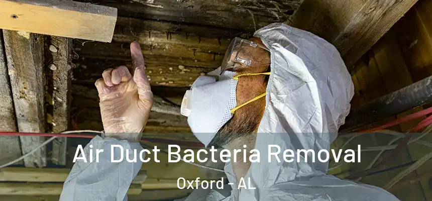  Air Duct Bacteria Removal Oxford - AL