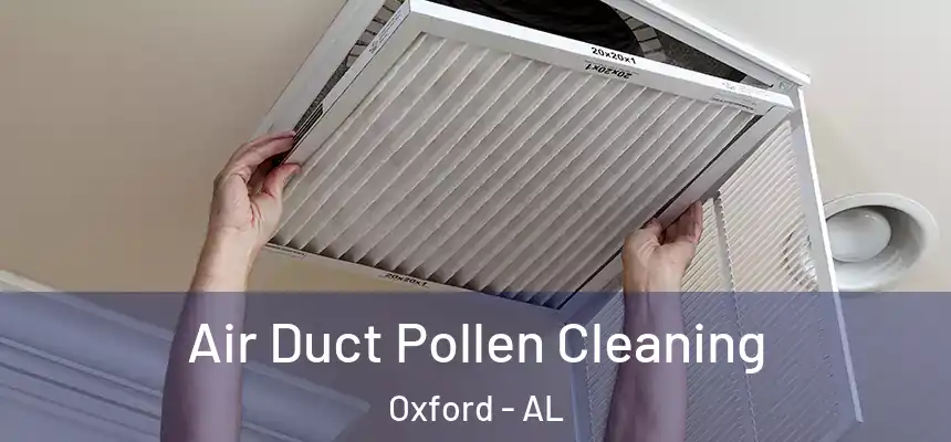  Air Duct Pollen Cleaning Oxford - AL