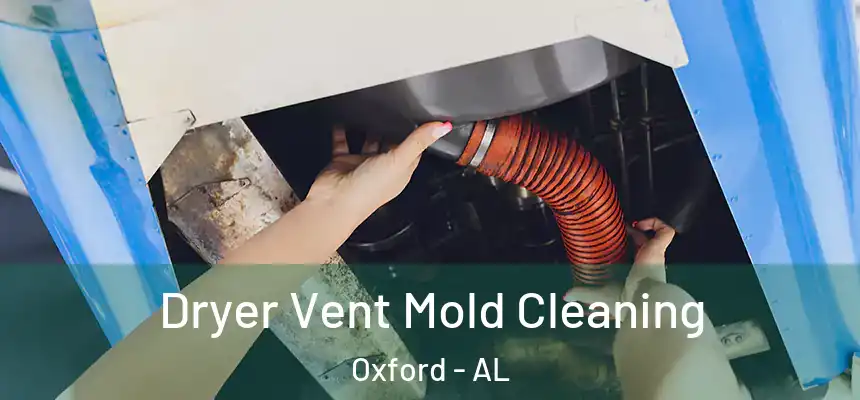  Dryer Vent Mold Cleaning Oxford - AL