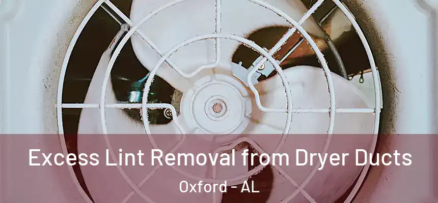  Excess Lint Removal from Dryer Ducts Oxford - AL