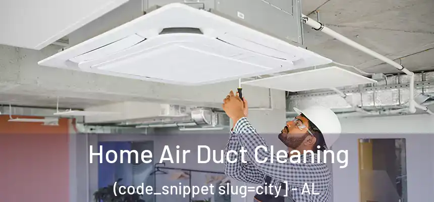  Home Air Duct Cleaning (code_snippet slug=city] - AL