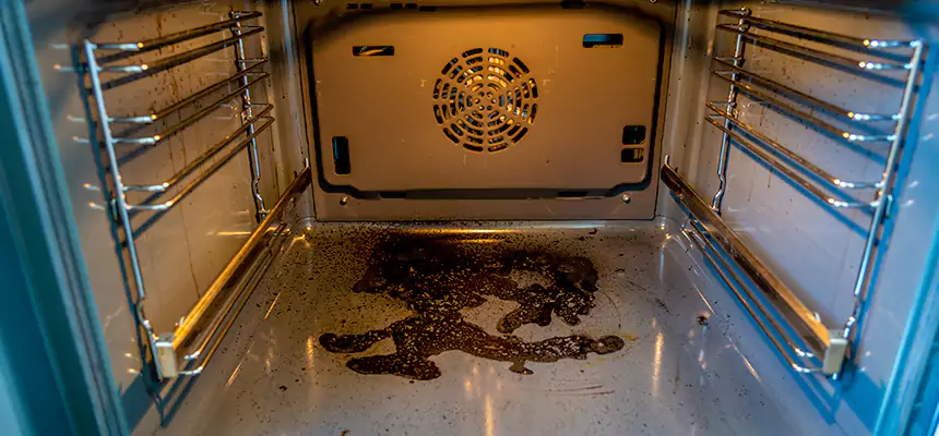 Our Dryer Vent Mold Cleaning Services in Oxford, AL