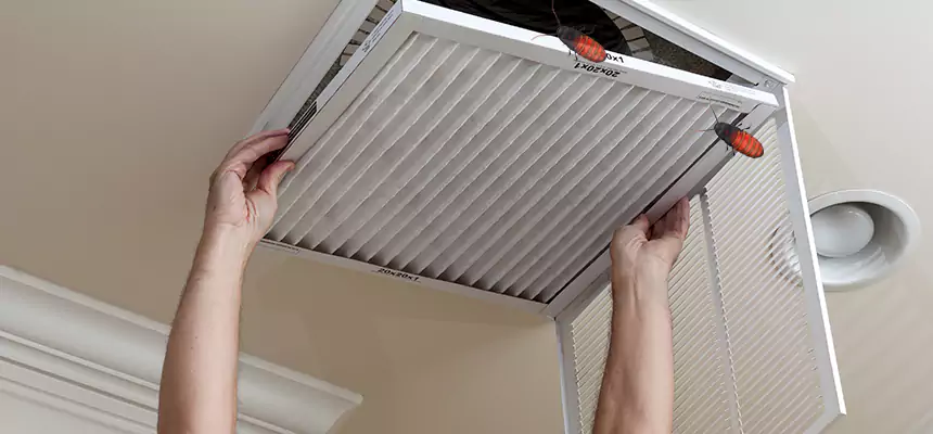 Our Insect Removal from Air Ducts Services in Oxford, AL