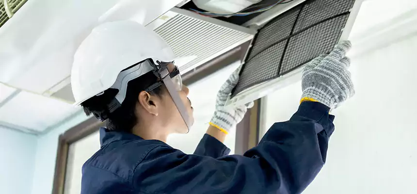 Our Mold & Mildew Removal from Air Ducts Services in Oxford, AL