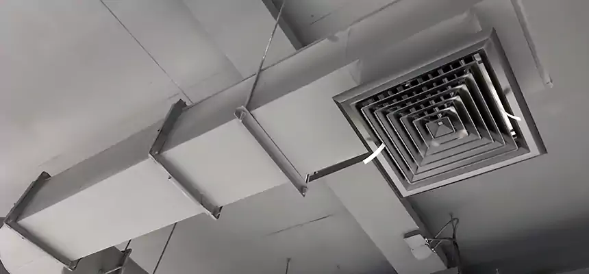 Our Pest Removal From Ducts Services in Oxford, AL