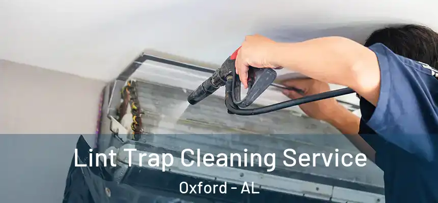 Lint Trap Cleaning Service Oxford - AL