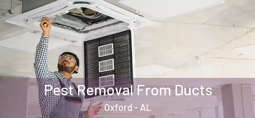  Pest Removal From Ducts Oxford - AL