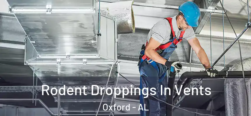 Rodent Droppings In Vents Oxford - AL