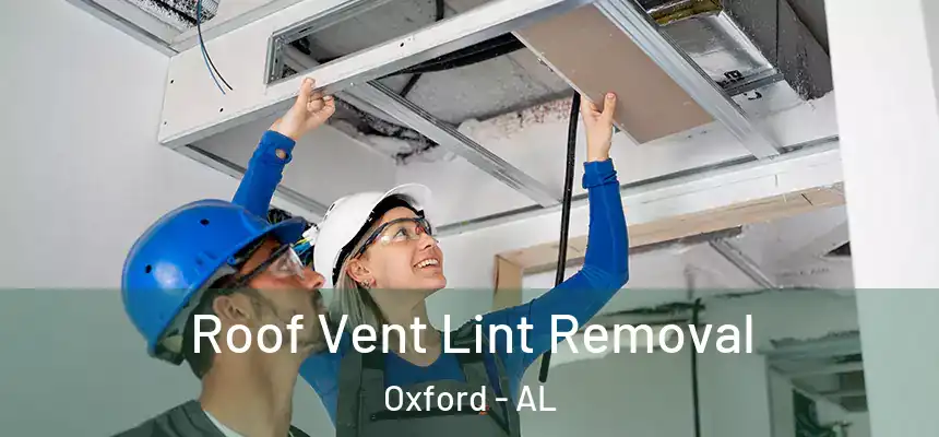 Roof Vent Lint Removal Oxford - AL
