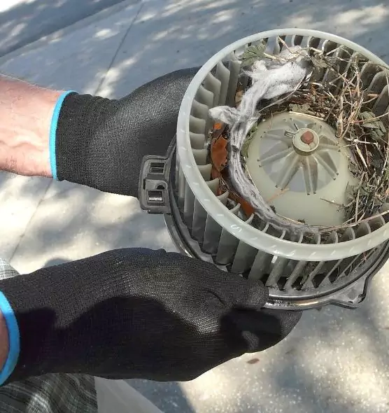 About Air Duct Rat Removal in Oxford, AL