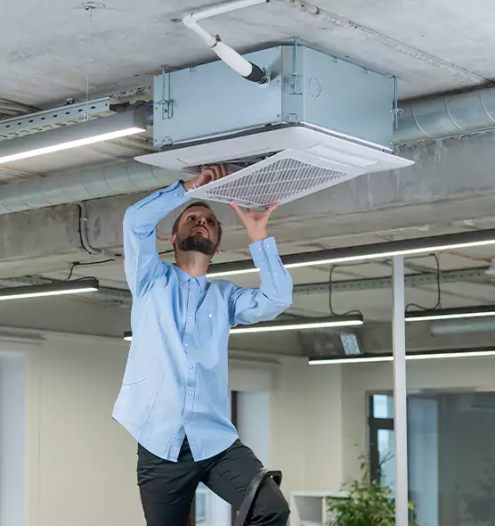 Advanced Rodent Droppings In Vents in Oxford, AL