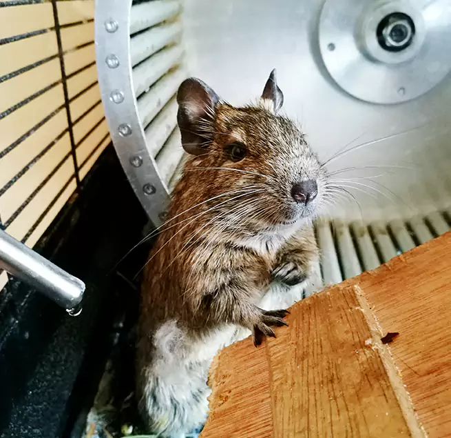 Why Homeowners & Businesses Trust Us Oxford, AL