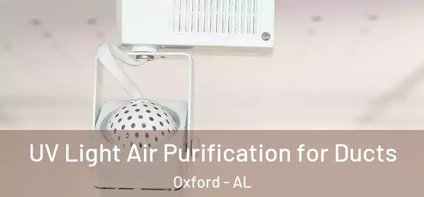 UV Light Air Purification for Ducts Oxford - AL